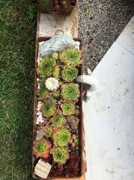 Pin Von Tina Muller Auf Mein Garten Garten