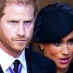 Why Prince Harry went to war