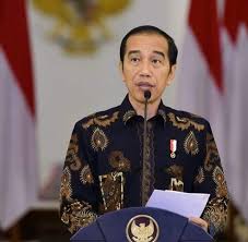 Pin Di Batik Jokowi