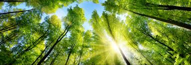 Obituary of Paul Emmett Moran