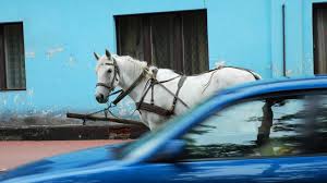 How Much Horsepower Does A Draft Horse Have: Detailed Insights -  Horsenameideas.Com