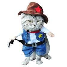 We did not find results for: Cat Cowboy Costume