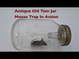 Antique Old Tom Jar Mouse Trap In Action With Large Spikes Youtube Mouse Traps Mouse Trap Diy Homemade Mouse Traps