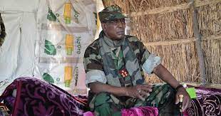 President idriss déby of chad has revealed that the nigerian government supported his country's military onslaught against boko haram. Chad President Joins Frontline Combat Against Boko Haram Africanews