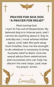 Francis, patron saint of animals, watch over my pet and keep my companion safe and healthy. 15 Powerful Prayers For Sick Dog Connectus