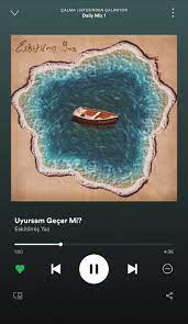 Spotify Sarkilar Muzik Alintilari Retro Posterler