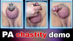 Rigid Chastity Prince Albert PA Piercing Permanent Device Cage Femdom FLR  Male Slave Training BDSM