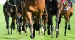 The preakness was the only race in which secretariat didn't set a record. Rss Racing Future