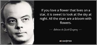 I love the fact that 'flowers for algernon' is doing. Antoine De Saint Exupery Quote If You Love A Flower That Lives On A Star