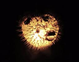 7 10 Hanging Light Puffer Fish Real Blowfish Lamp Etsy Hanging Lights Puffer Fish Tiki Bar