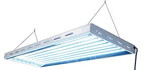 T5 Led Fluorescent Grow Light Systems For Plants From Acf Greenhouses