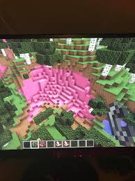 Found A World Where All Stone Is Pink Concrete Minecraft Pink dye can be crafted by either combining white dye and red dye or by placing a peony or a pink tulip in a crafting table. stone is pink concrete minecraft