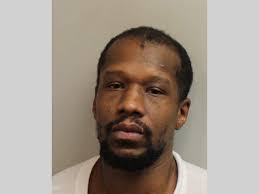 LCSO Daily Booking Report