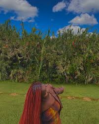 𝙀𝙏𝙃𝙀𝙇 𝙆𝙀𝙔𝙎𝙃𝙄𝘼🇰🇪 (@keyethel) • Instagram photos and videos