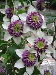 Maybe you would like to learn more about one of these? Pin On Outdoors