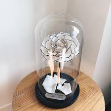 Furthermore, poppies are not the only one kind of flowers to be seen on stained glass. Aesthetic Flowers Added 9 New Photos Aesthetic Flowers Facebook