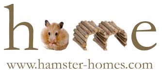 They need perfect home that means cage to stay and lots of playing stuff to enjoy their tiny life. Hamster Homes Hand Crafted Homes Accessories For Small Pets