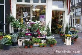 Flower Shop Amsterdam The Netherlands Pictures Free Use Image 1450 22 49 By Freefoto Com Flower Shop Wedding Flowers Cost Flower Arrangements Simple