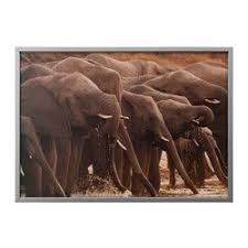 Maybe you would like to learn more about one of these? Pin Auf Vardagsrum