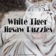 Drag the pieces into right position using mouse. White Tiger Jigsaw Puzzles Jigsaw Puzzles For Adults