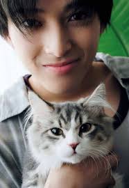 猫の日の写真集撮影の魅力