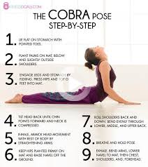 Cobra Pose Beginner Tips To The Bhujangasana Yoga Pose In 2020 Beginner Yoga Workout Cobra Pose Yoga For Beginners