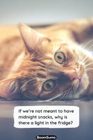 78 Funny Quotes And Sayings To Make You Laugh Out Loud Boom Sumo Within this listing of funny quotes and sayings are worth laughing over, we've attempted to incorporate a. and sayings to make you laugh out loud