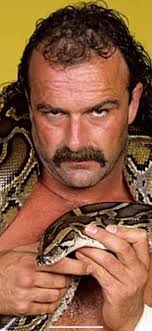 Finalists for the next poll are in