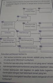 Data pada diagram kunci dikotom di atas jika ditulis akan menjadi kunci determinasi sebagai berikut. Tentukan 5 Jenis Tumbuhan Yang Akan Kamu Buat Kunci Dikotominya Cara Golden