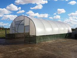 National Polytunnels Adli Kullanicinin Sheep Housing Polytunnels Panosundaki Pin Hayvan Barinaklari Hayvan