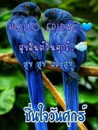 ป กพ นโดย ramchai chuenbumrung ใน สว สด ว นศ กร นกแก ว สว สด ตอนเช า อร ณสว สด