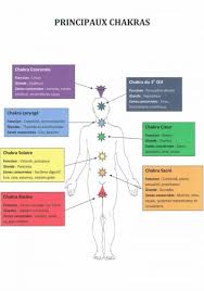 Chakras Principaux Chakra Francais Therapie Holistique Meditation Chakra