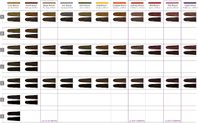 Loreal Richesse Colour Chart Post Sophie Hairstyles 30900