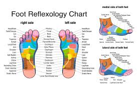 Reflexology Chart Foot Hand Massage Free Zone Therapy