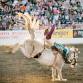 Redding Rodeo