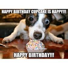Find your perfect happy birthday image to celebrate a joyous occasion free download sweet and fun pictures free for commercial use. 45 Funny Happy Birthday Memes That Will Render You Wishes Tailpic