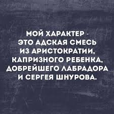 все лучшее что не купишь за деньги купить книгу V Tochku Shedevralnye Citaty Citaty Yumornye Citaty Sarkastichnye Citaty