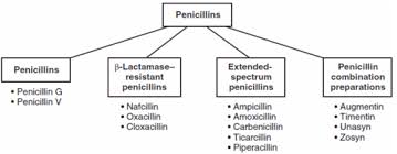 Image result for Extended Spectrum Penicillin