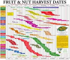 California Growing Season Chart Thelifeisdream