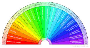 Subtil Partage Creation De Biometres Cadrans Planches De Radiesthesie Nom De La Categorie Resultats Pag En 2020 Taux Vibratoire Radiesthesie Planche Radiesthesie