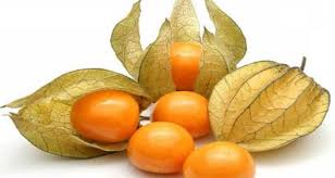 Epingle Par O Brien Sur Conseils Sante Coqueret Du Perou Fruits Exotiques Cancer De L Estomac