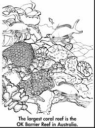 You can print or color them online at getdrawings.com for absolutely 1024x752 great barrier reef fish coloring page. Image Result For Australia Coloring Pages Coral Reef Ocean Coloring Pages Animal Coloring Pages Coloring Pages