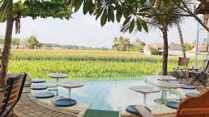 Check spelling or type a new query. Daftar Restoran Di Jogja Dengan Pemandangan Asyik Dan Asri Serius Deh Harus Cobain Ke Sini