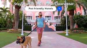 Get directions, reviews and information for downtown st. Pet Friendly Hotels Places To Stay Visit St Petersburg Clearwater Florida