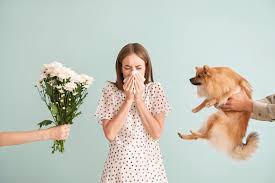 Image result for Allergic Rhinitis