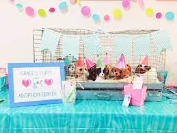 Puppy Adoption Birthday Party Girls Birthday Nine Years Old Cat Themed Birthday Party Pet Adoption Birthday Party Adoption Party