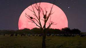 Pink moon, full moon april 2021. Super Pink Moon 2020 What Is A Super Pink Moon Catch The Biggest Brightest Full Moon In India Today 8 05 Am Ist Technology News Firstpost