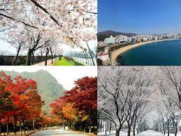 Rabu, 10 juli 2019 10:37. Korea Tourism Organization Indonesia Article