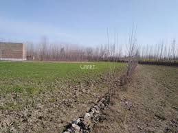 Poultry farms for sale, broiler houses and farms for sale including chicken farms. Buy Sell Rent Homes Properties In Pakistan Aarz Pk