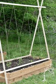 Thinking i had the answer, this year i bought some 'garden jute twine'. Easy Diy String Tomato Trellis Rocky Hedge Farm